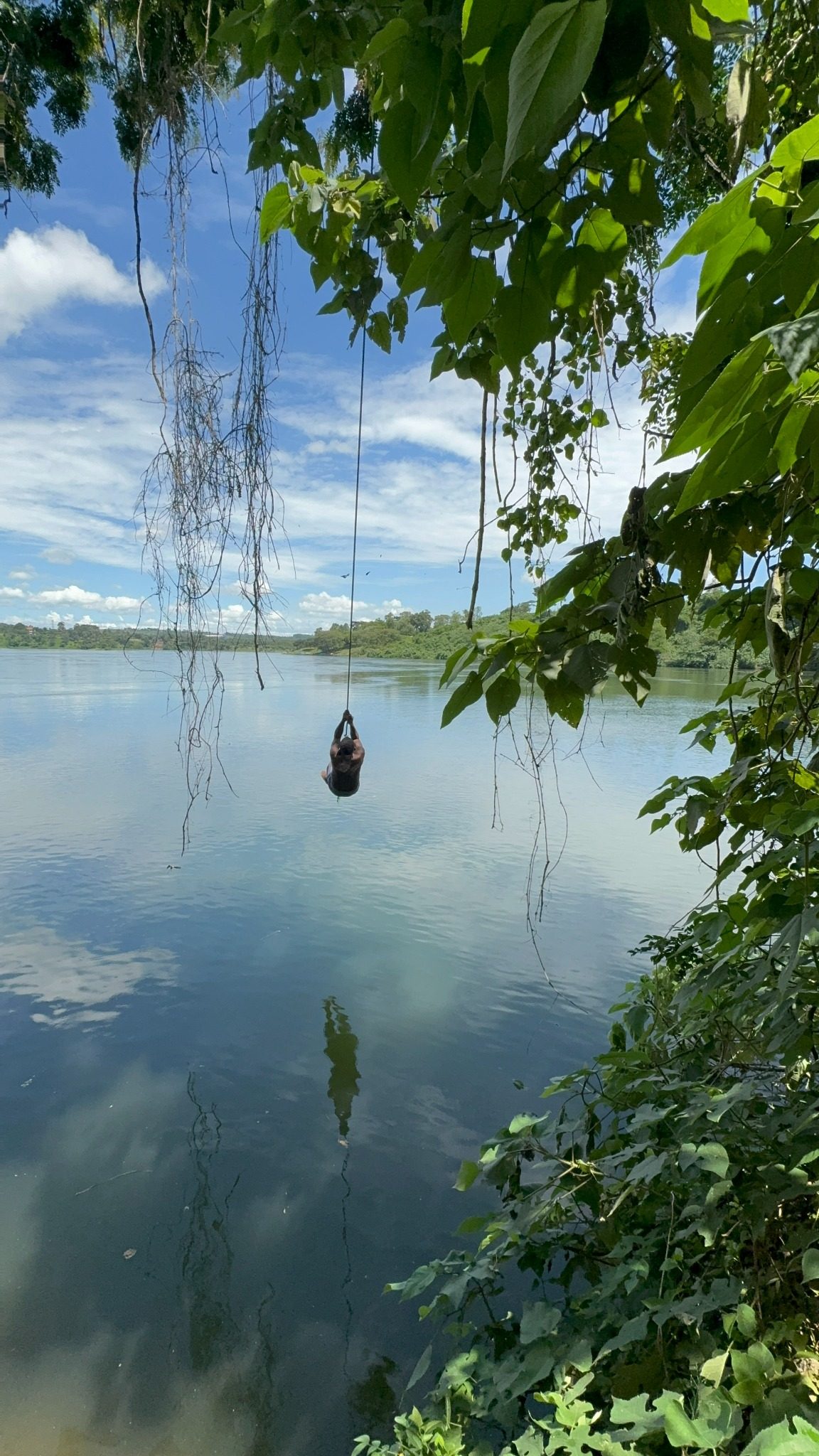Nile at Jinja