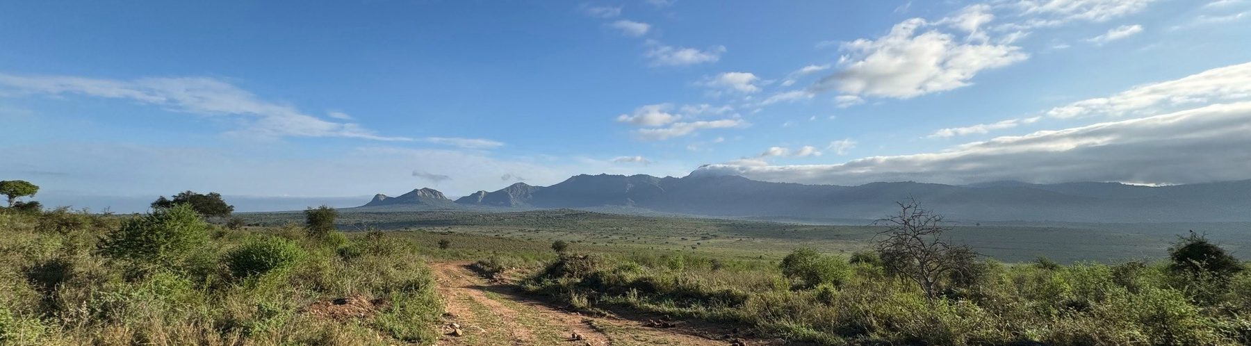 Akagera savannah
